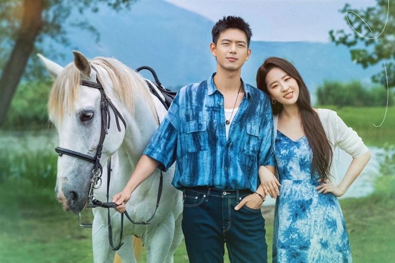 夺首尔电视剧大赏 《去有风的地方》惹韩网轰