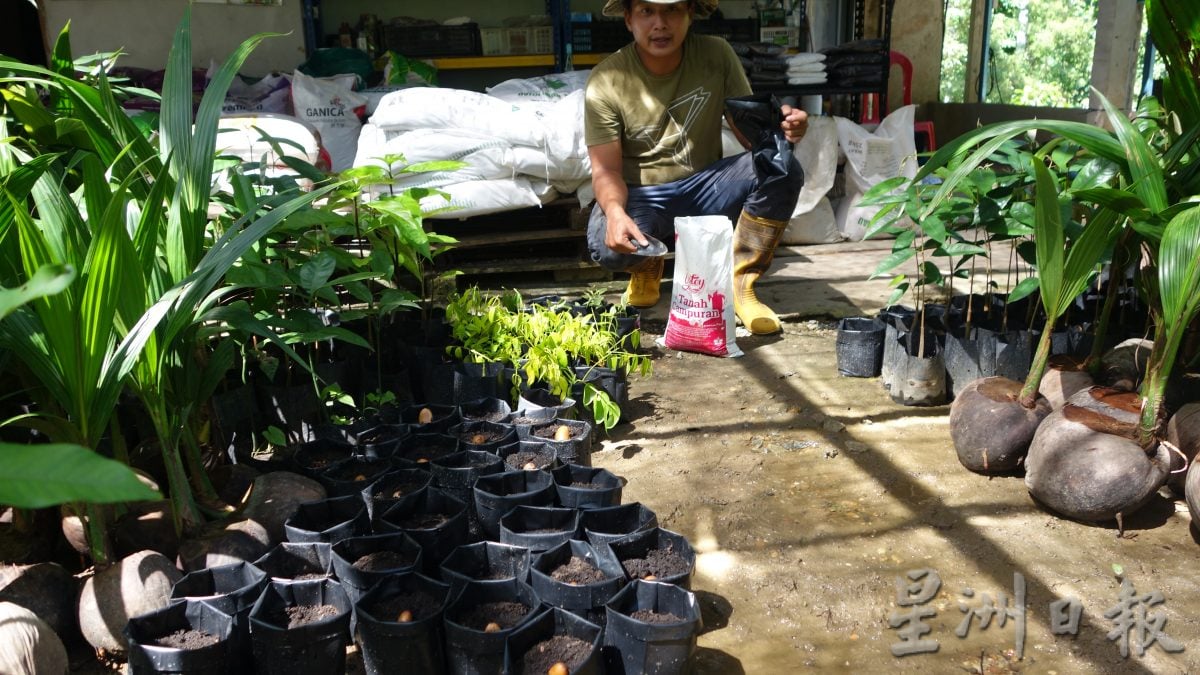 它的诞生:促进果树生长 减少病虫害 嘉玛花三年研究营养土