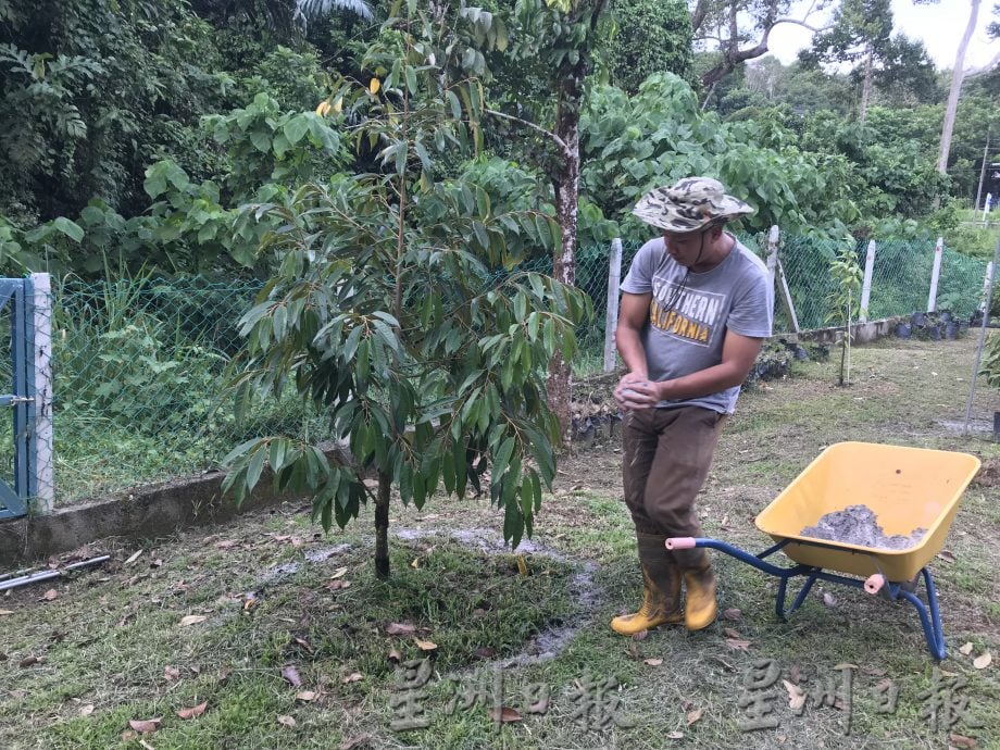 它的诞生:促进果树生长 减少病虫害 嘉玛花三年研究营养土