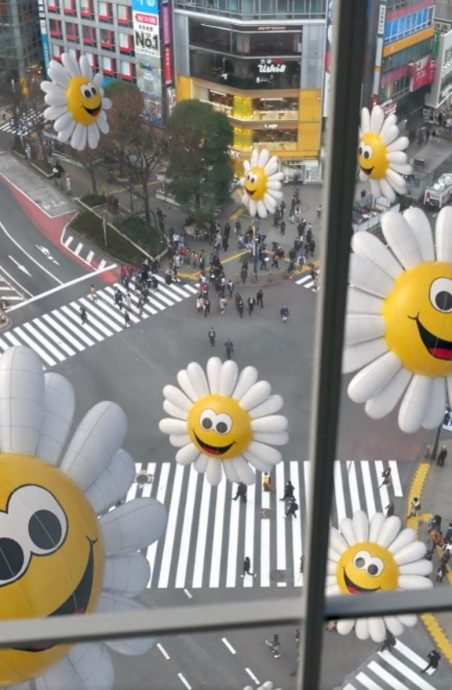 宣传片现万里长城配洋甘菊 SEVENTEEN挨批辱华