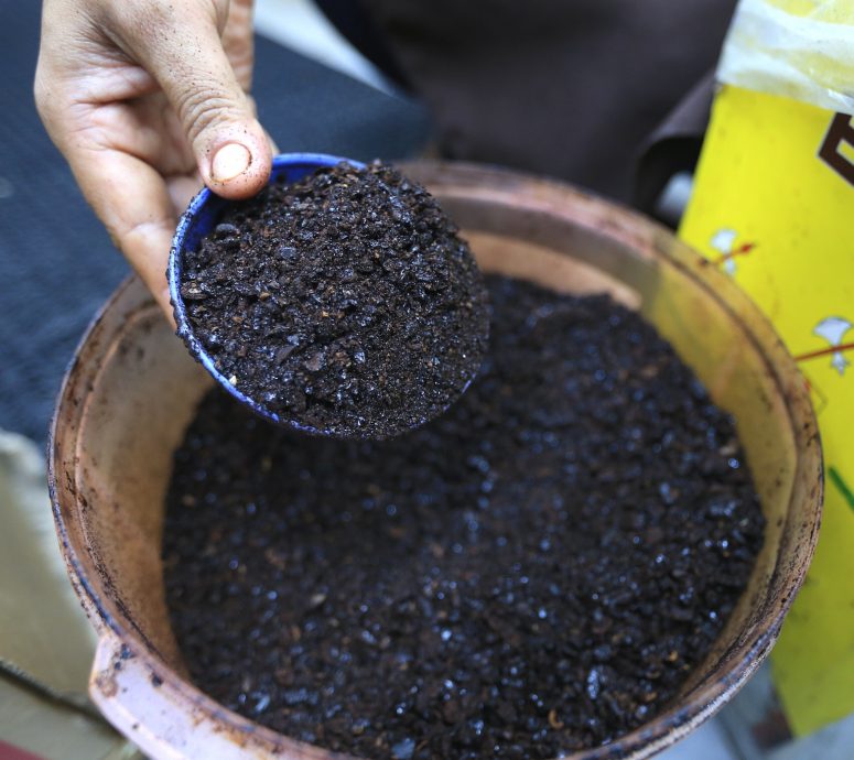 封面//大都会/咖啡豆价格涨，咖啡店业者暂不涨价/ 6图  