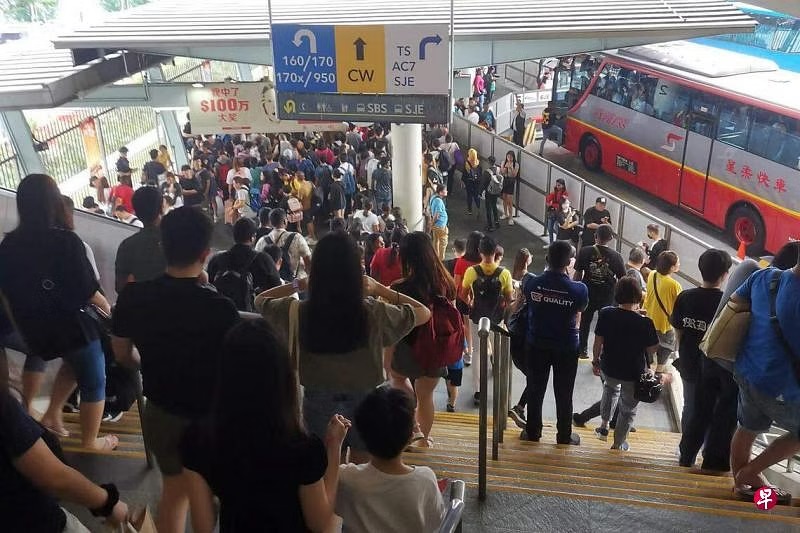 *已签发*柔:狮城二三事:狮城总统投票日长周末遇学校假期 5天170万人通关陆路