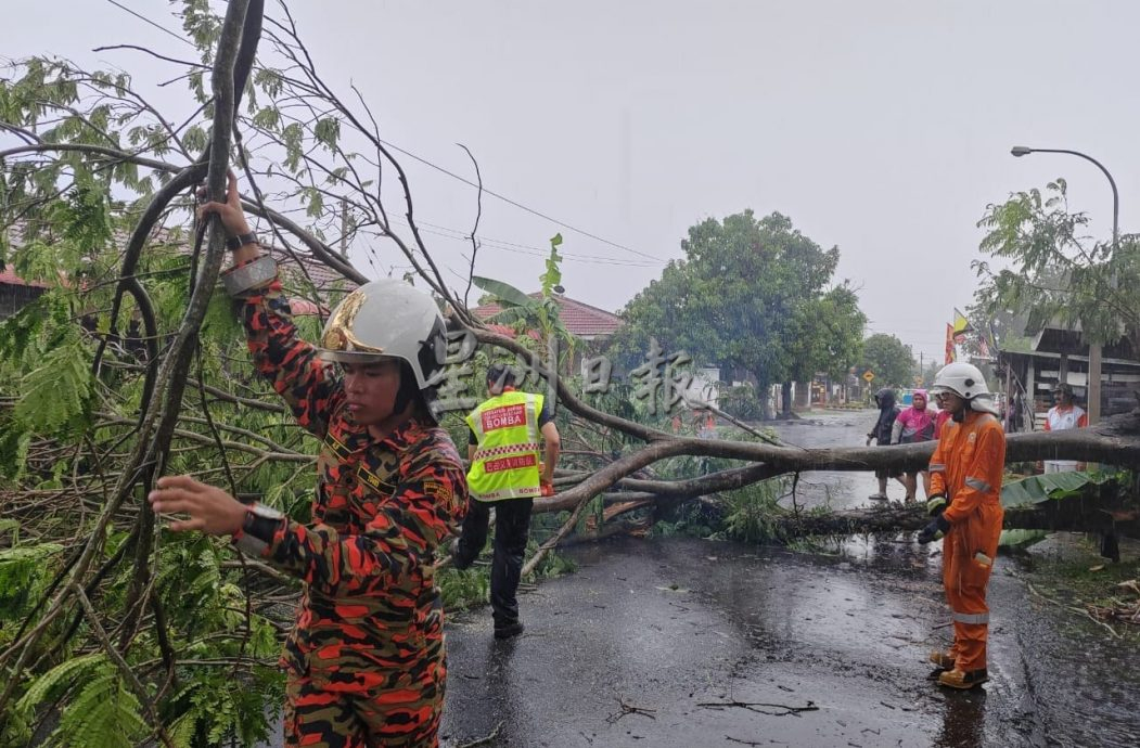 巴占丽皇城遭暴风雨侵袭 逾10屋顶车棚遭刮走大树倒
