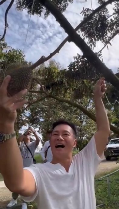 张兆辉直闯榴梿山　狂嗑到饱超满足