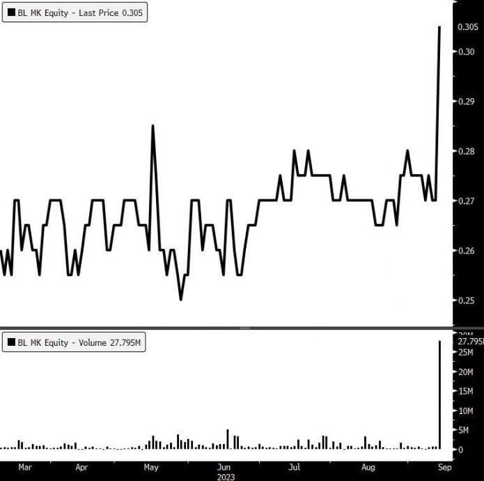 成功置地一度暴涨22.22%