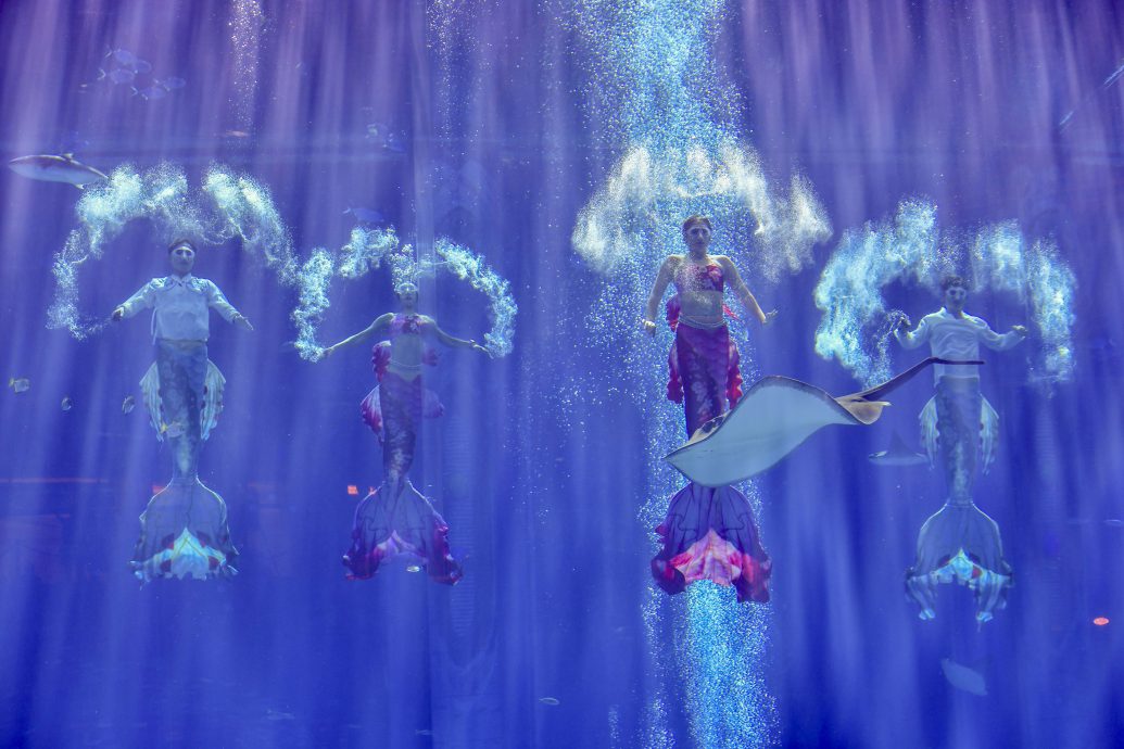 拚图两图)三亚美人鱼公开赛