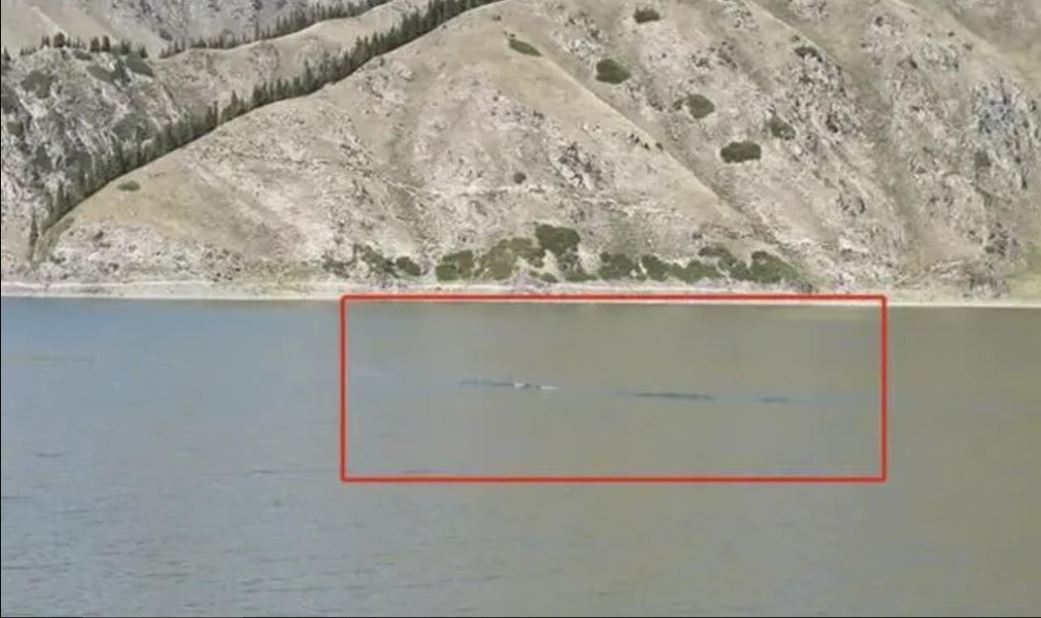 拚盘/新疆天山天池出现“水怪”!还被游客拍下了