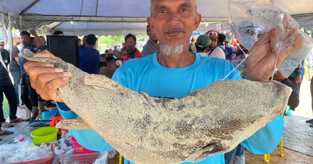 捕获5.2公斤河豚 男子独赢10.5万奖金