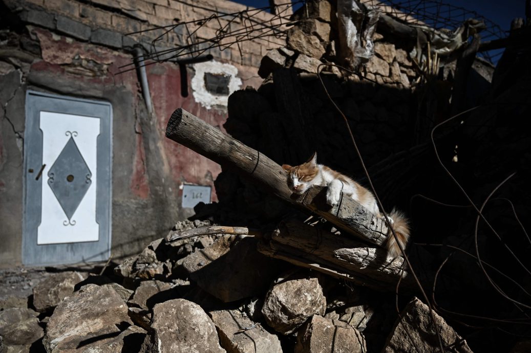 摩洛哥内政部：强震已致2497人遇难 2476人受伤