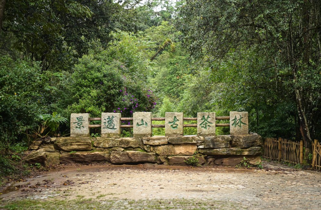 普洱景迈山古茶林文化景观列入世界遗产名录 全球首个茶主题世遗