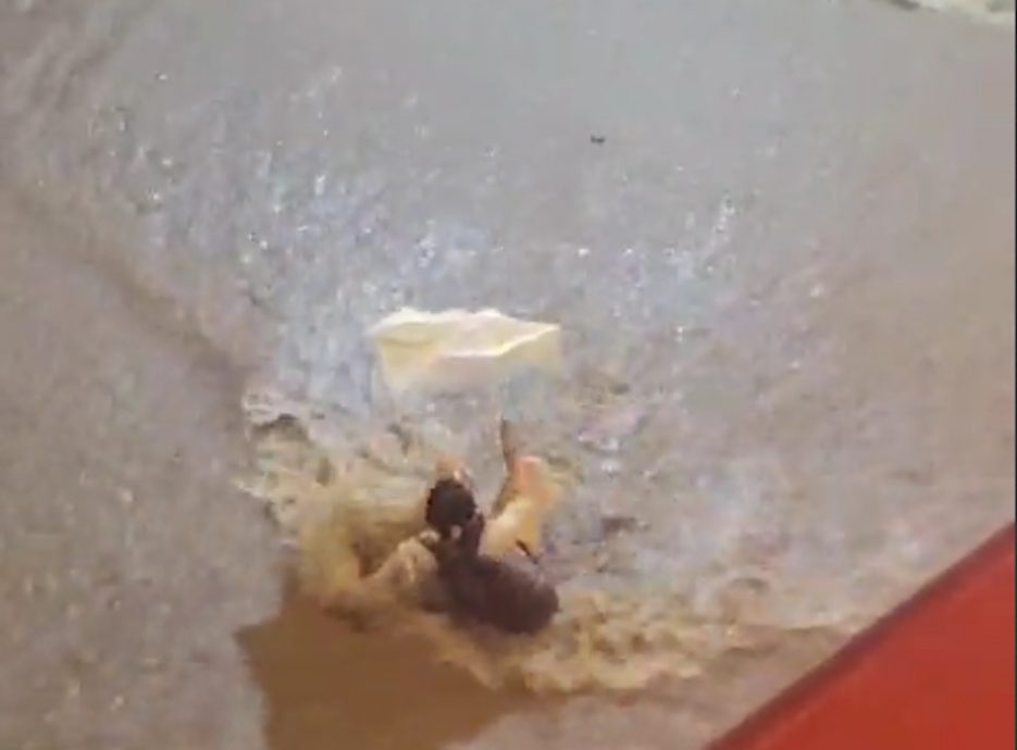 暴雨下环翠道斜路变急流 撑伞女被“冲走”逾50公尺