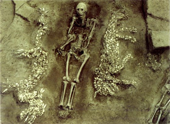 林家豪／中华第一龙