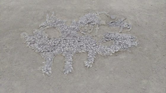 林家豪／中华第一龙