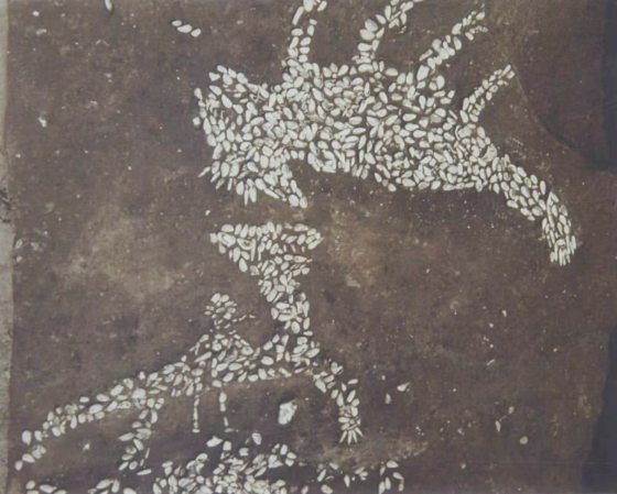 林家豪／中华第一龙