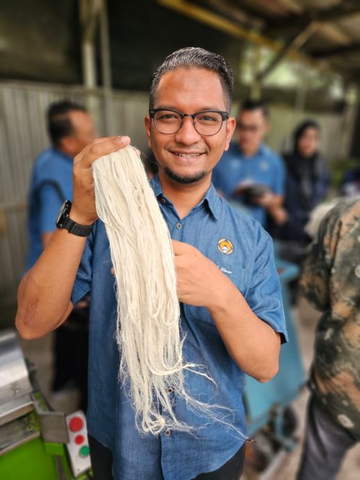柔01:文告:大马黄梨工业局访南苏门答腊 探索黄梨线制品发展潜力