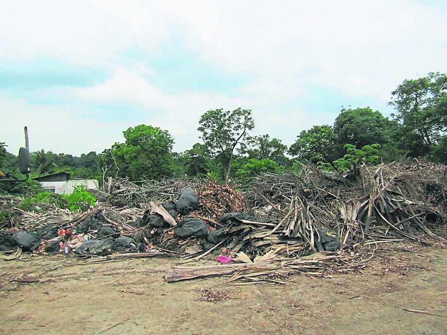 柔：封面：【特稿】：不运垃圾场和填高地势，SWCorp：非法垃圾场形成2原因