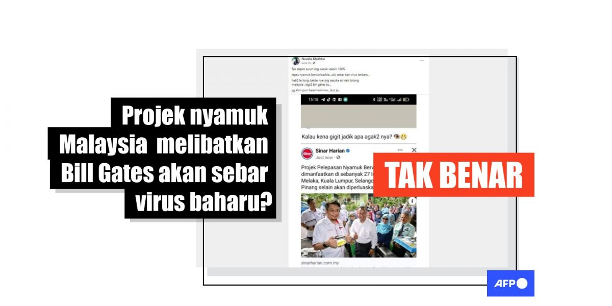 求真/大马蚊子养殖计划将传播新病毒?