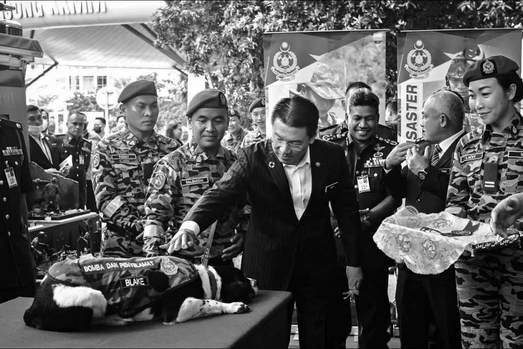 消拯局英雄犬 淋巴癌恶化被安乐死