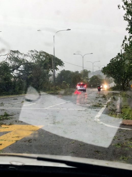狂风暴雨 公寓屋顶被掀走 多处树倒压毁车