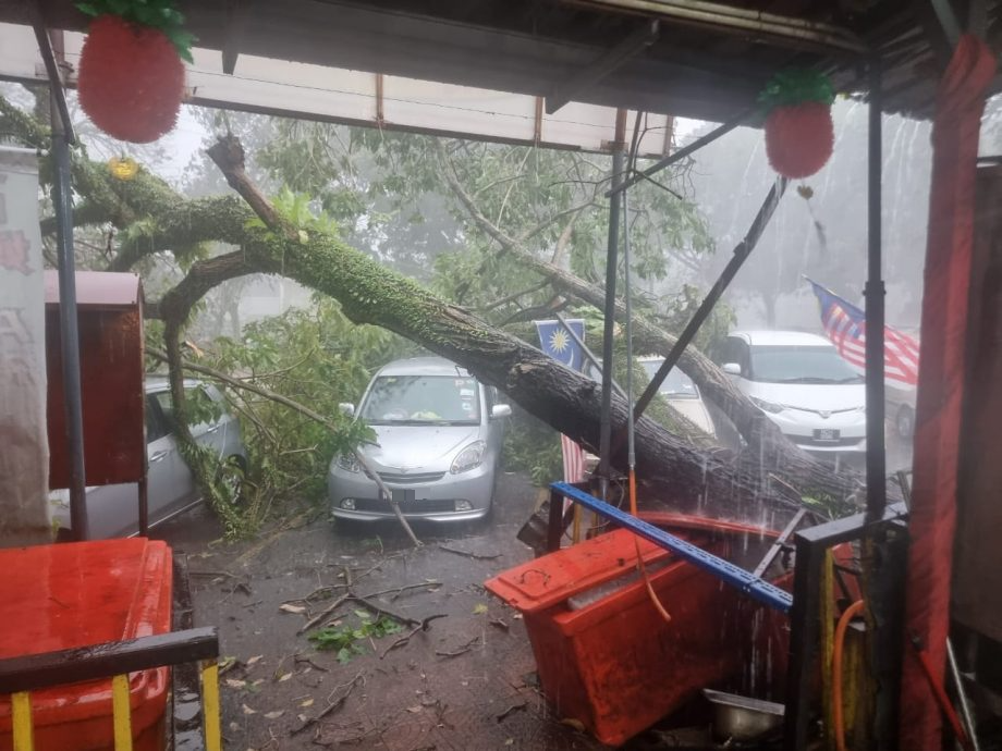 狂风暴雨 公寓屋顶被掀走 多处树倒压毁车