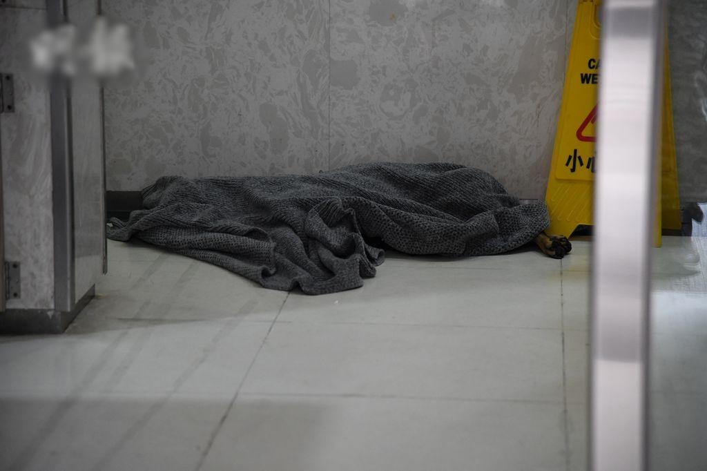  狗狗未及时入升降机　狗带被夹著惨遭勒死