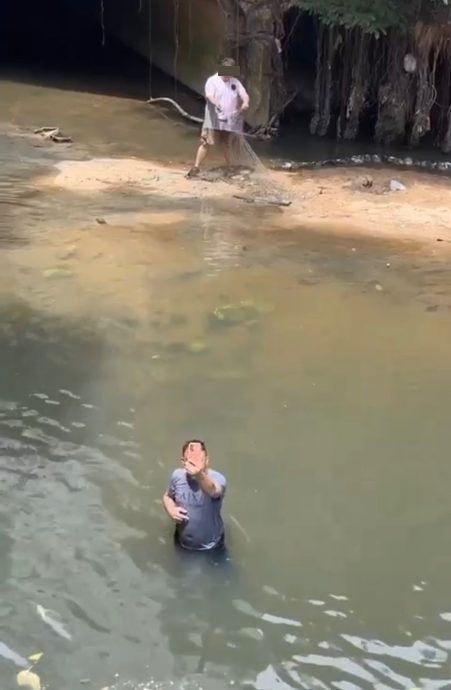 独家|城市果园被“入侵” Yen叔气哭:他们又来偷捞鱼 