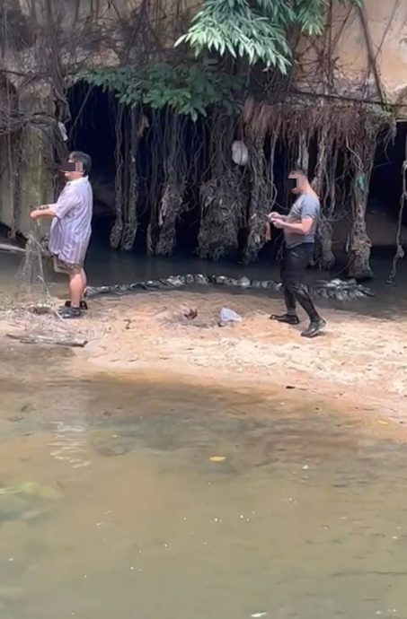 独家|城市果园被“入侵” Yen叔气哭:他们又来偷捞鱼 