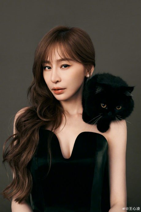 王心凌点名百度纠正1错误 粉丝笑翻:太诚实