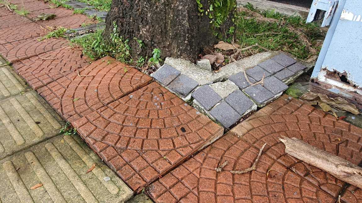 甲洞光柏淡路 获拨款提升行人道