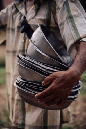 碎米涨涨涨，狗吃贵米，浪浪庇护所大喊吃不消！