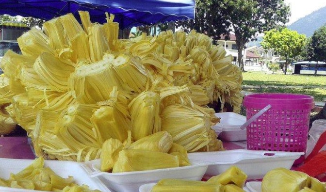 继猫山王榴梿 大马全力广销菠萝蜜到中国