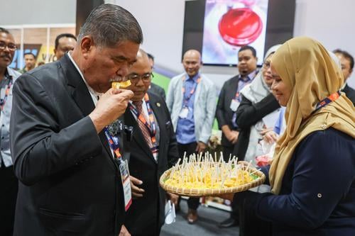 继猫山王榴梿 大马全力广销菠萝蜜到中国