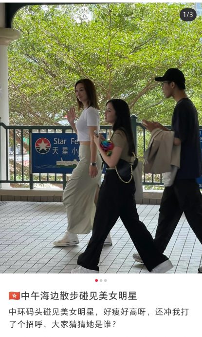 观音像前轻佻拍视频 高海宁挨批欠庄严