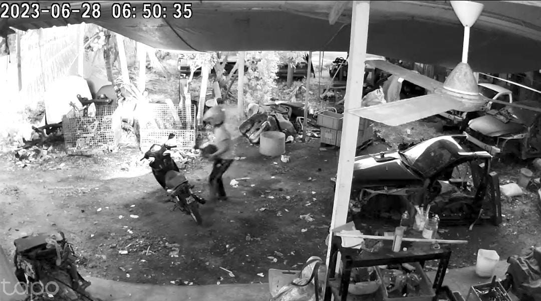 视频 | 风扇桌子电熨斗都要偷!邻居直接进门拿 毫不客气