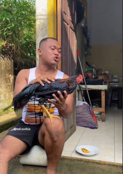 视频|“我的鸡不见了” 大叔泪洒警局 警员出动寻鸡