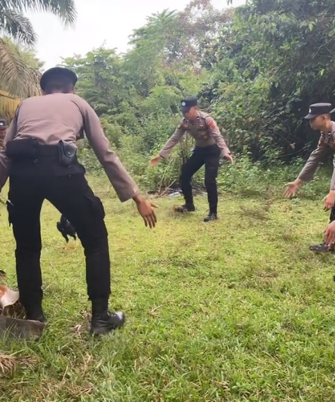 视频|“我的鸡不见了” 大叔泪洒警局 警员出动寻鸡