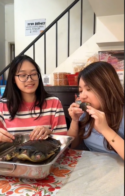 视频|吃播无奇不有 两美少女吃鳖画面惊呆网