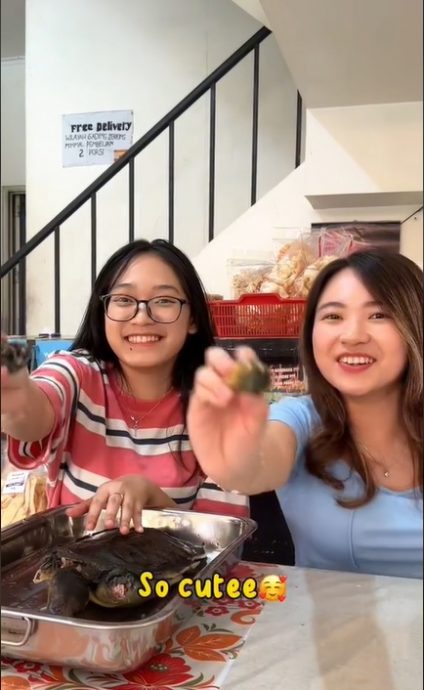 视频|吃播无奇不有 两美少女吃鳖画面惊呆网