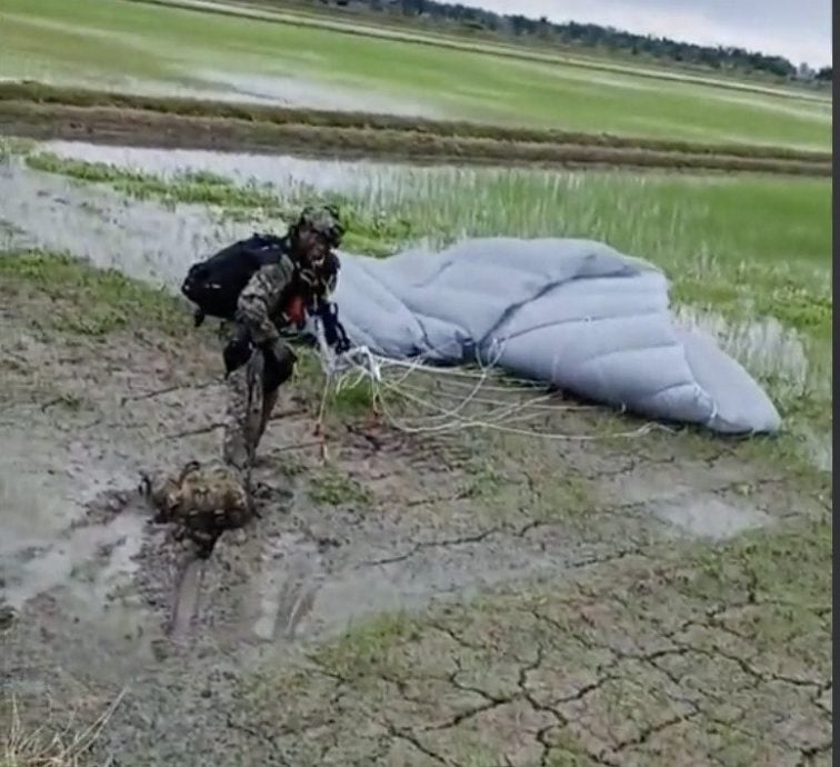 视频|有惊无险!训练遇恶劣天气加强风 跳伞军人逼降稻田区