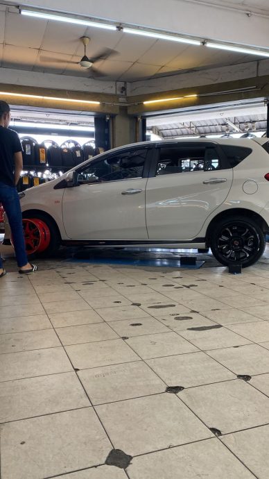 车内臭味难忍  “原来有4只尸体”