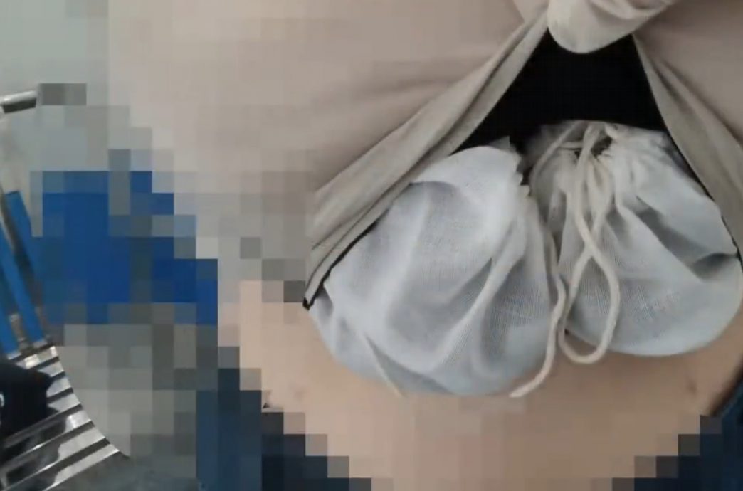 过海关神情怪异 女子胸部藏16活蜥蜴