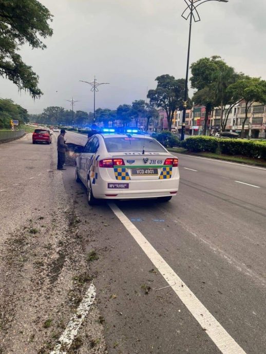 **重新签发(取代前文)**柔:休闲公园马型雕像被偷,最终被弃置大路旁