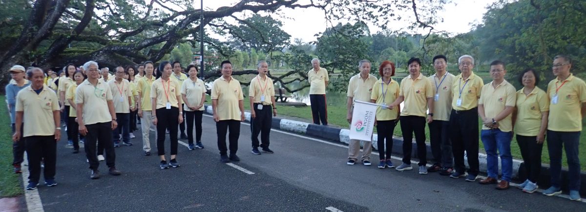 霹：上百名郭林气功导师及学员在雨树步行道大操练