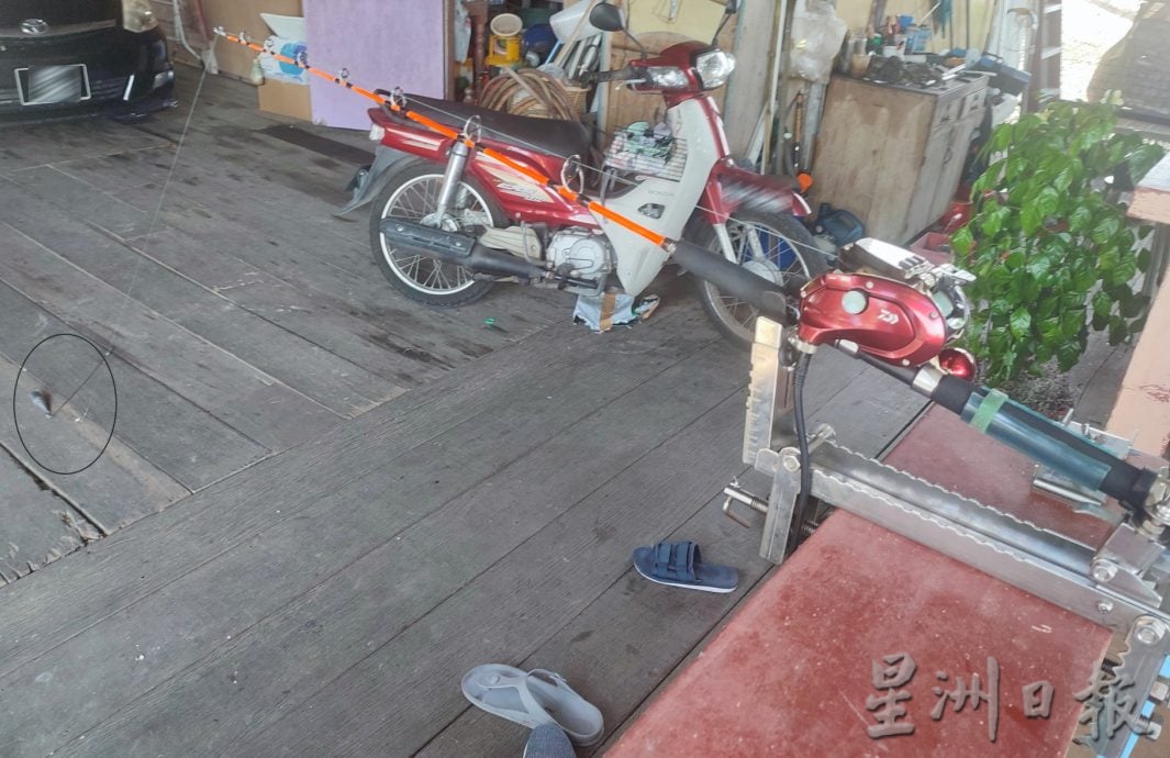 霹:封底补它的诞生qr