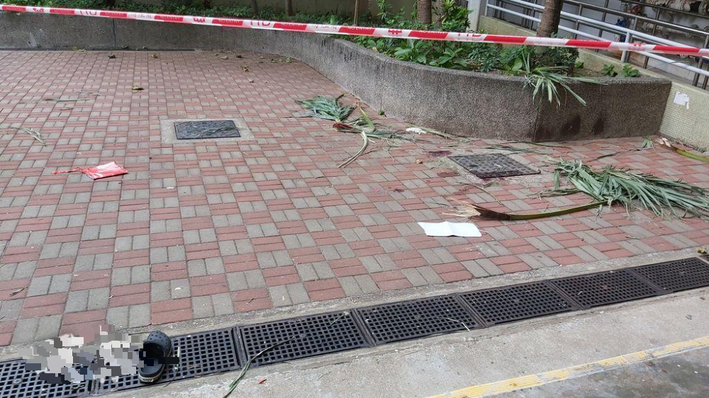 青年疑行窃被撞正 勒毙邻居藏尸行李袋后坠楼