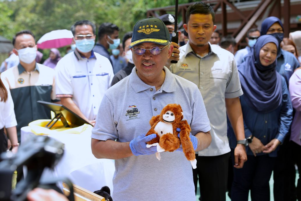 (元首)国家元首访西必洛 为小人猿取名为“迪迪”