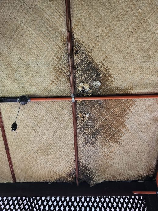 (全国版)故居天花板漏水情况严重 莱士雅丁:比南利看到会哭出来