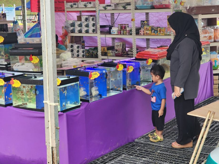 (古城封面主文)历史广场成为官方活动地点,市议会逐步美化及提升设施吸引更多人前往