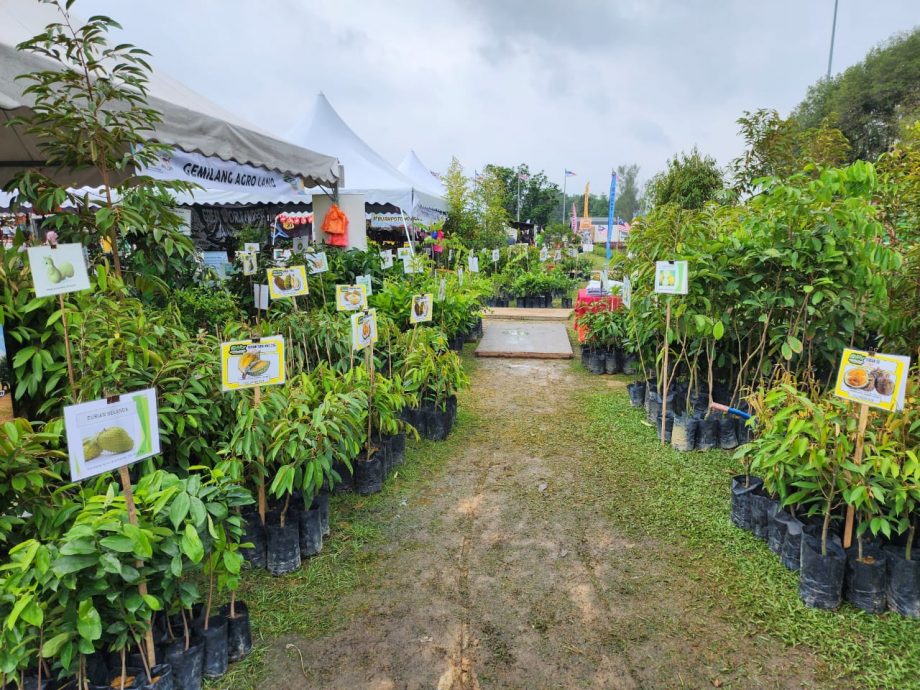 (古城封面主文)历史广场成为官方活动地点,市议会逐步美化及提升设施吸引更多人前往