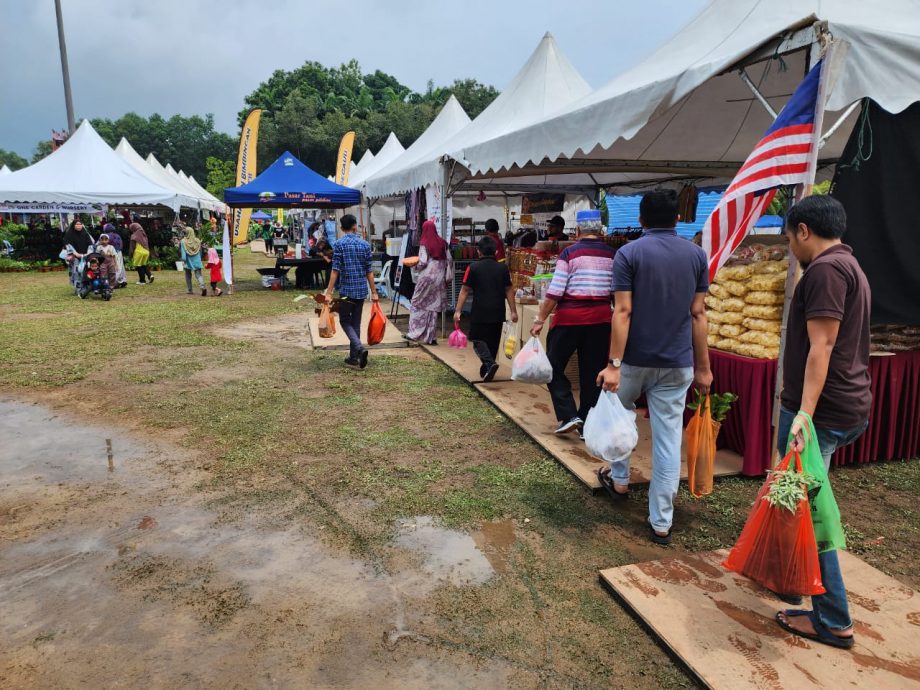 (古城封面主文)历史广场成为官方活动地点,市议会逐步美化及提升设施吸引更多人前往